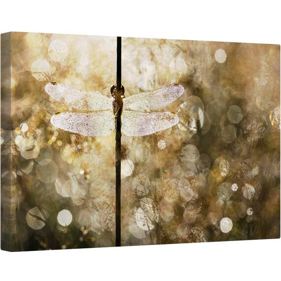 Tablou canvas - Lumina Diminetii, Lumina Soarelui, Reflectie, Libelula, Caldura, Vara, 40 x 60 cm - - Roveli