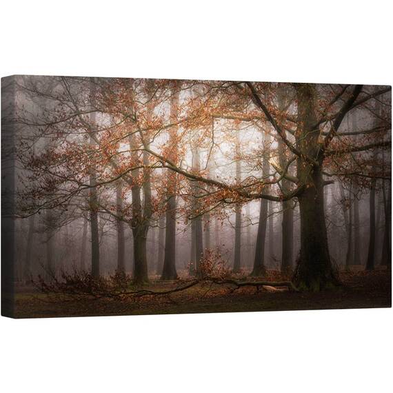 Tablou canvas - Memoria Incetosata A Trecutului, Mastbos, Cetos, Panorama, Abur, 50 x 100 cm - - Roveli