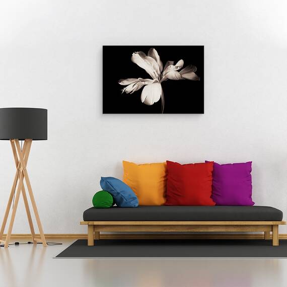 Tablou canvas - Natura Moarta, Floare, Alb-Negru, Intunecos, 40 x 60 cm - 2- Roveli