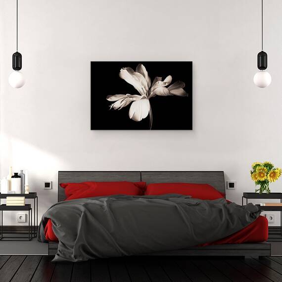 Tablou canvas - Natura Moarta, Floare, Alb-Negru, Intunecos, 60 x 90 cm - 3- Roveli