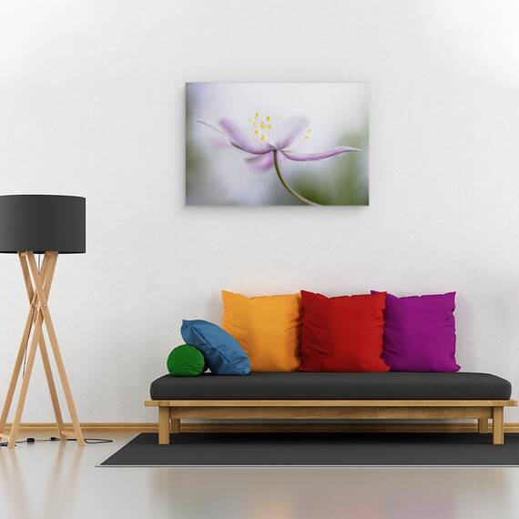 Tablou canvas - Nemorosa, Floare, Roz, Petale, Moale, 80 x 120 cm - 2- Roveli
