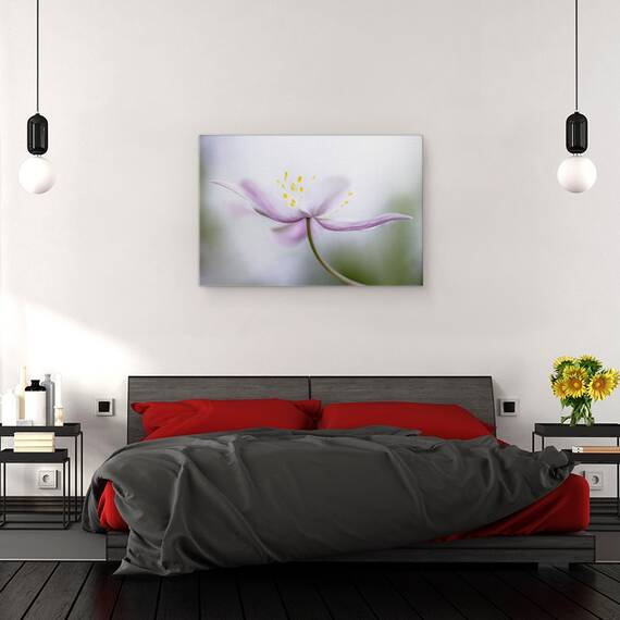 Tablou canvas - Nemorosa, Floare, Roz, Petale, Moale, 80 x 120 cm - 3- Roveli