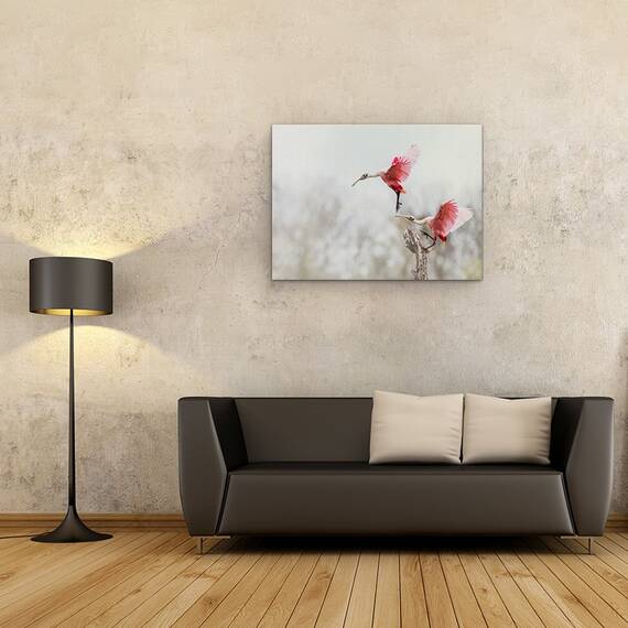 Tablou canvas - Pasari, Pereche, Trandafir, Starc, Aterizare, Fauna, Animale, 60 x 80 cm - 2- Roveli