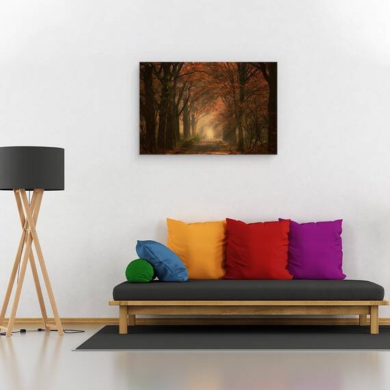 Tablou canvas - Plimbare Toamna, Peisaj, Razele Soarelui, Raze de Lumina, Toamna, Infrangere, Drum, 40 x 60 cm - 2- Roveli
