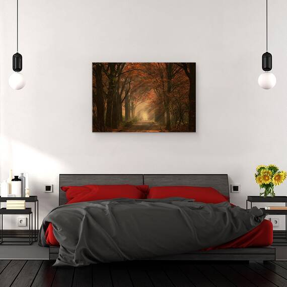 Tablou canvas - Plimbare Toamna, Peisaj, Razele Soarelui, Raze de Lumina, Toamna, Infrangere, Drum, 40 x 60 cm - 3- Roveli