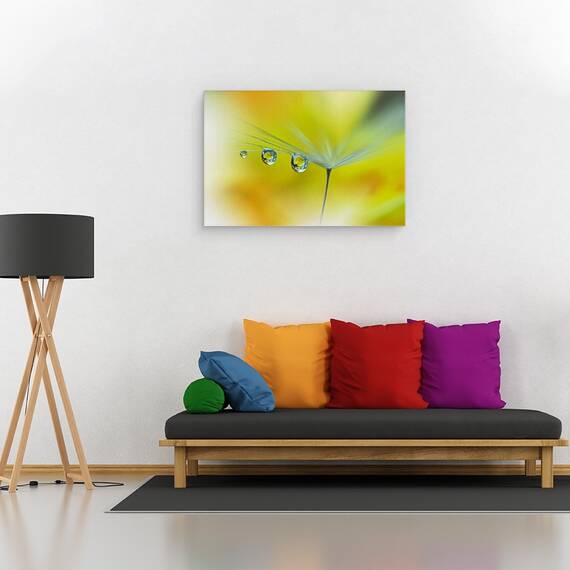 Tablou canvas - Raze de Soare, Galben, Papadie, Samanta, Reflectie, Moale, Vara, 40 x 60 cm - 2- Roveli