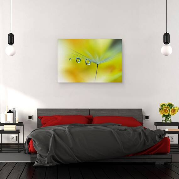 Tablou canvas - Raze de Soare, Galben, Papadie, Samanta, Reflectie, Moale, Vara, 40 x 60 cm - 3- Roveli