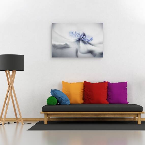 Tablou canvas - Spiritul Anemone, Anemona, Vara, Floare, Planta, 80 x 120 cm - 2- Roveli