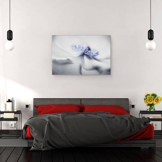 Tablou canvas - Spiritul Anemone, Anemona, Vara, Floare, Planta, 80 x 120 cm - 3- Roveli