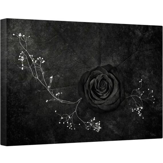 Tablou canvas - Trandafir Negru, Trandafir, Alb-Negru, Intunecos, Floare, 80 x 120 cm - - Roveli