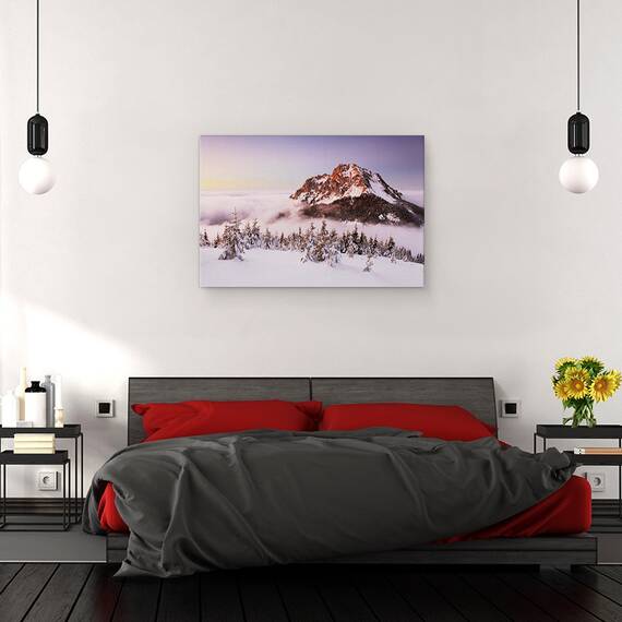 Tablou canvas - Varful Rozsutec, Munte, Slovacia, Iarna, Pomi, Summit, 80 x 120 cm - 3- Roveli