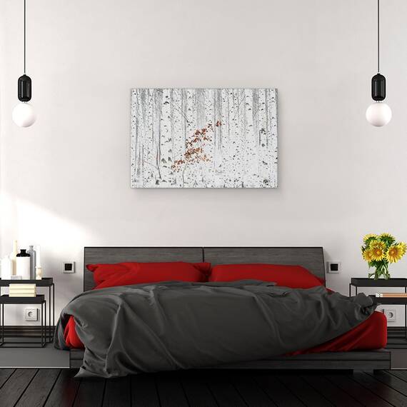 Tablou canvas - Alb, Peisaj, Mesteacan, Copac, Padure, 40 x 60 cm - 3- Roveli