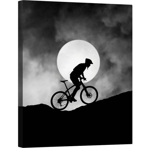 Tablou canvas - Allegro, Luna, Motocicleta, Bicicleta, Calatorie, Calaret, 60 x 75 cm - - Roveli