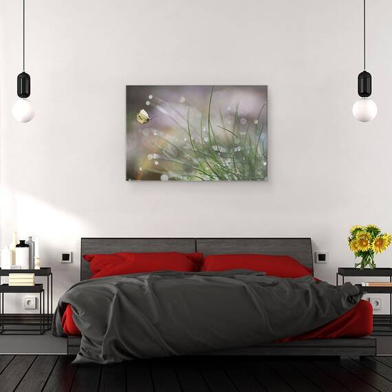 Tablou canvas - Aterizare Iminenta, Macro, Fluture, Fauna, Insecta, Iarba, Inchis, 80 x 120 cm - 3- Roveli