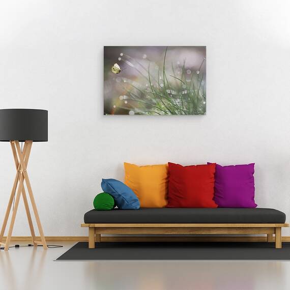 Tablou canvas - Aterizare Iminenta, Macro, Fluture, Fauna, Insecta, Iarba, Inchis, 60 x 90 cm - 2- Roveli