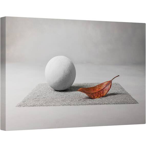 Tablou canvas - Aterizare Pe Luna, Gri, Frunza, Zen, Gradina Zen, Frunze, Toamna, 40 x 60 cm - - Roveli