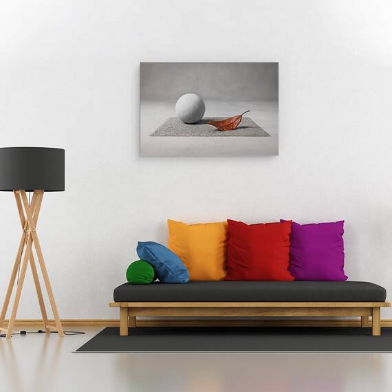 Tablou canvas - Aterizare Pe Luna, Gri, Frunza, Zen, Gradina Zen, Frunze, Toamna, 40 x 60 cm - 2- Roveli