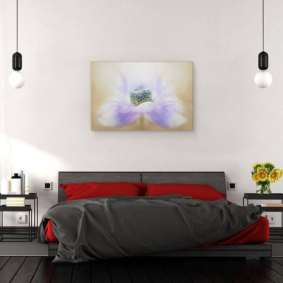 Tablou canvas - Briza, Anemona, Floare, Macro, Moale, 40 x 60 cm - 2- Roveli