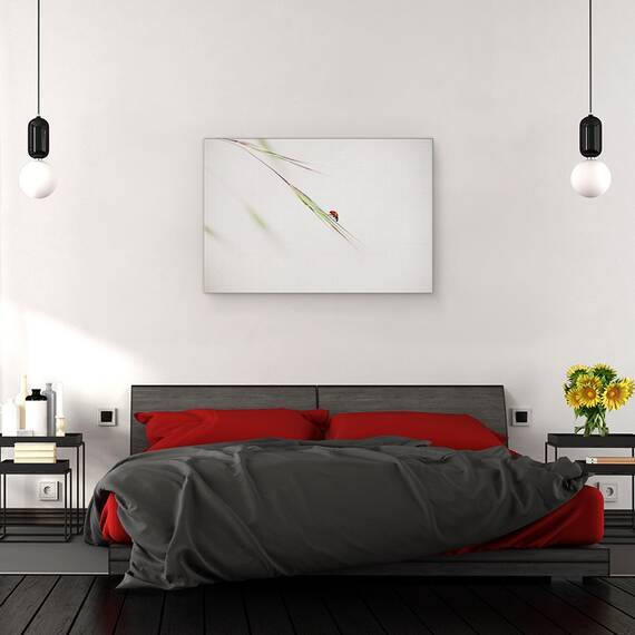 Tablou canvas - Buburuza, Macro, Gargarita, Rosu, Iarba, Insecta, 40 x 60 cm - 3- Roveli