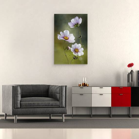 Tablou canvas - Cosmos, Natura Moarta, Cosmos, Floare, Flori, Muguri, 40 x 60 cm - 2- Roveli
