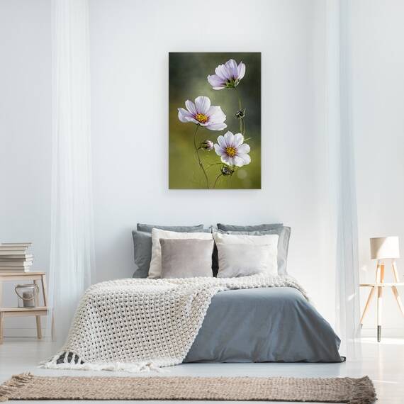 Tablou canvas - Cosmos, Natura Moarta, Cosmos, Floare, Flori, Muguri, 60 x 90 cm - 3- Roveli