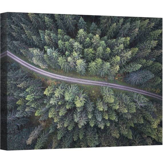 Tablou canvas - Drum Prin Padure, Aerial, Peisaj, Pomi, Copac, Padure, Verde, 50 x 70 cm - - Roveli