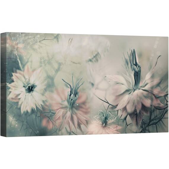 Tablou canvas - Fecioarele Ll, Macro, Prim-Plan, Flori, Nigella, Natura Moarta, 50 x 100 cm - - Roveli