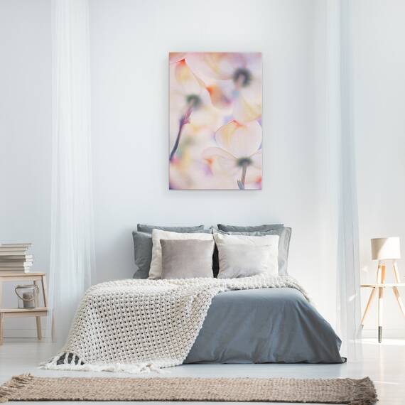 Tablou canvas - Flori, Floare, Moale, Macro, Flori, Pastel, 60 x 90 cm - 3- Roveli