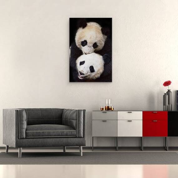 Tablou canvas - Frati, Panda, Ursi Panda, Animal, Dragut, Blana, 60 x 90 cm - 2- Roveli