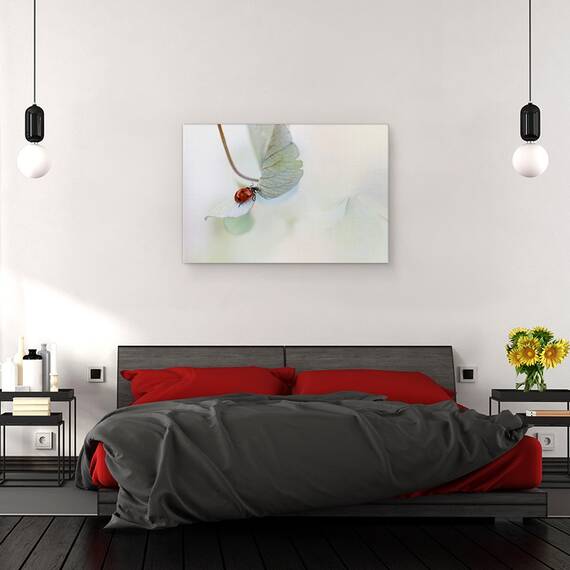 Tablou canvas - Gargarita Pe Hortensie, Gargarita, Moale, Rosu, Frunza, 60 x 90 cm - 3- Roveli