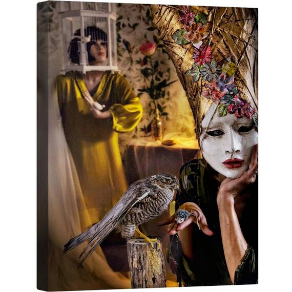 Tablou canvas - Hranire, Masca, sapca, Pasare, soim, Fata, Cusca, 75 x 100 cm - - Roveli