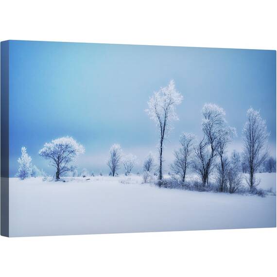 Tablou canvas - Iarna, Iarna, Pomi, Zapada, Gheata, Ceata, Quebec, 50 x 80 cm - - Roveli