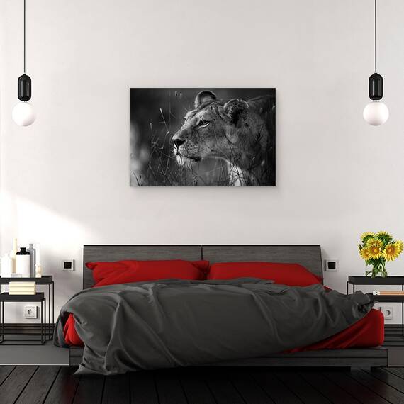 Tablou canvas - Leu, Leoaica, Felina, Fauna, Salbatic, Natura, 80 x 120 cm - 3- Roveli
