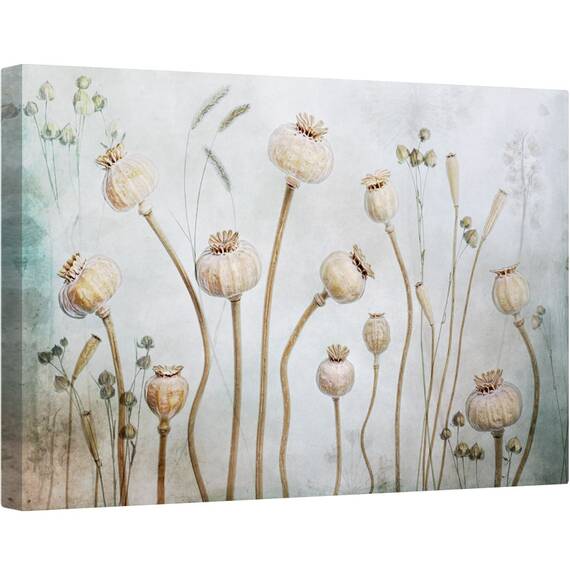 Tablou canvas - Papaver, Inca, Viata, Floare, Usor, Natura Moarta, 80 x 120 cm - - Roveli