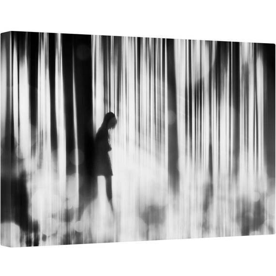 Tablou canvas - Prins in Pacat, Contrast, Moale, Femeie, Padure, Persoana, 60 x 90 cm - - Roveli