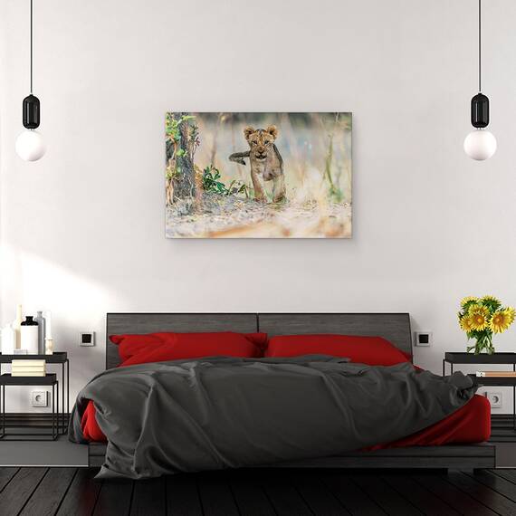 Tablou canvas - Pui de Leu, Cub, Fauna, Salbatic, Natura, Animal, 80 x 120 cm - 3- Roveli