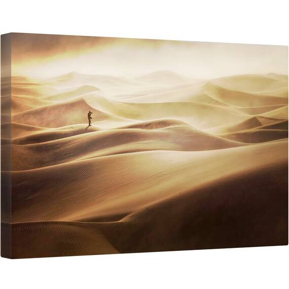 Tablou canvas - Singur, Desert, Furtuna de Nisip, Peisaj, Dune, 40 x 60 cm - - Roveli