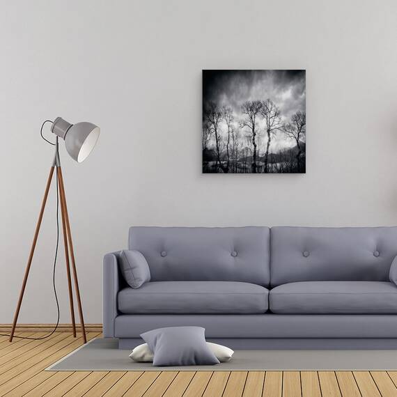 Tablou canvas - Ultimele Zile, Padure, Pomi, Mesteacan, 60 x 60 cm - 2- Roveli