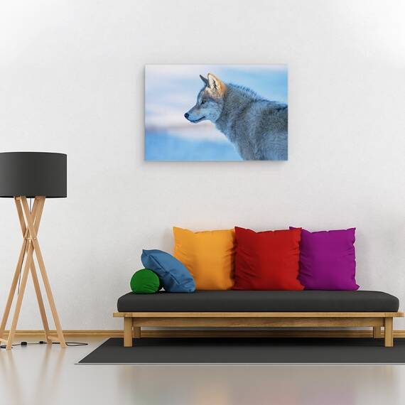 Tablou canvas - Un Lup Vigilent, Animal, Animale, Blana, Lup, 40 x 60 cm - 2- Roveli