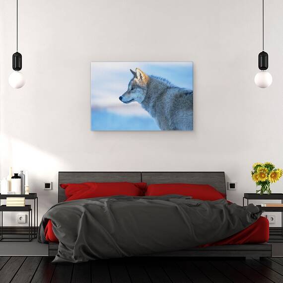 Tablou canvas - Un Lup Vigilent, Animal, Animale, Blana, Lup, 40 x 60 cm - 3- Roveli