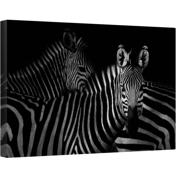 Tablou canvas - Zebra, Zebre, Animal, Intunecos, 40 x 60 cm - - Roveli