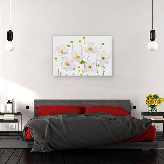 Tablou canvas - Anemone Japoneze, Japoneza, Vara, Floare, Floral, Gradina, 40 x 60 cm - 3- Roveli