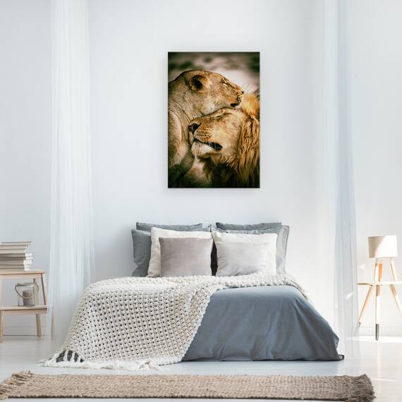 Tablou canvas - Ce Este Dragostea, Afectiune, Iubire, Imbratisare, Felina, Leu, 80 x 120 cm - 3- Roveli