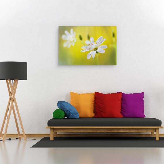 Tablou canvas - Cusatura, Vara, Macro, Floare, Moale, 80 x 120 cm - 2- Roveli