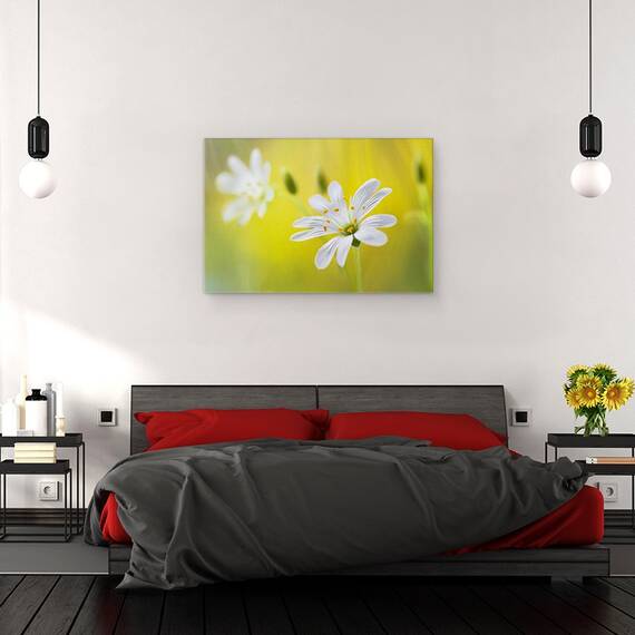 Tablou canvas - Cusatura, Vara, Macro, Floare, Moale, 80 x 120 cm - 3- Roveli