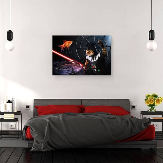 Tablou canvas - Darth Sushi, Domnul, Sith, Sabie Laser, Sabie, Peste, Taiere, 80 x 120 cm - 3- Roveli