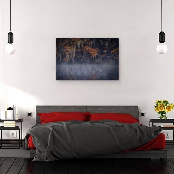 Tablou canvas - Dimineata Cetoasa, Caddo, Texas, Ceata, Pasare, Apa, Noi, 60 x 90 cm - 3- Roveli