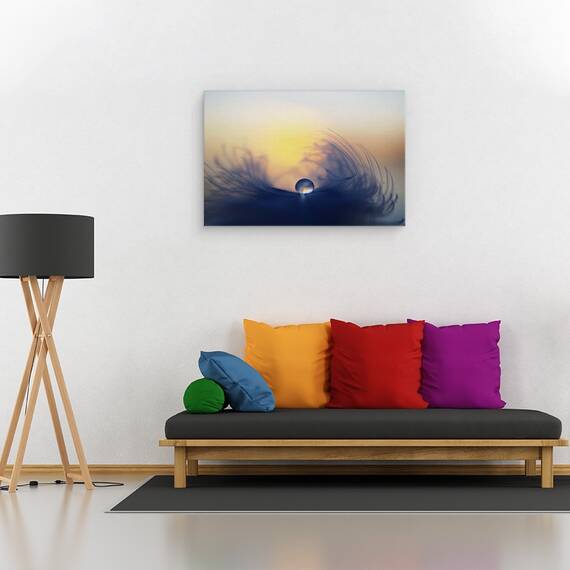 Tablou canvas - Dimineata, Macro, Cadere, Roua, Pana, Soare, Moale, 80 x 120 cm - 2- Roveli