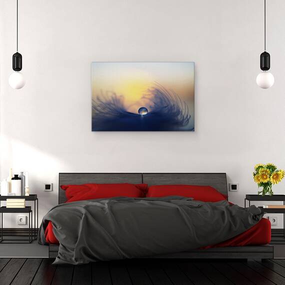 Tablou canvas - Dimineata, Macro, Cadere, Roua, Pana, Soare, Moale, 80 x 120 cm - 3- Roveli