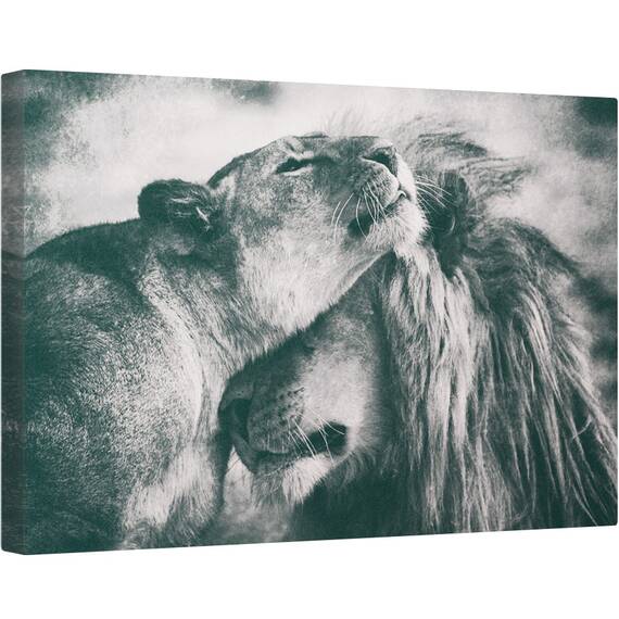 Tablou canvas - Dragoste, Felina, Fauna, Salbatic, Natura, Animal, 80 x 120 cm - - Roveli